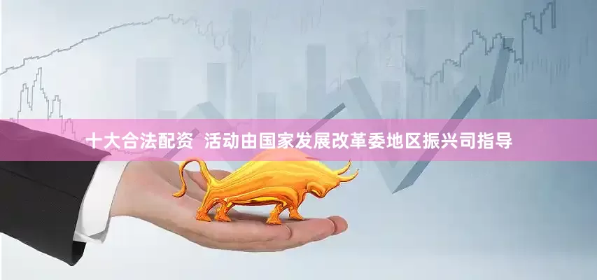 十大合法配资  活动由国家发展改革委地区振兴司指导