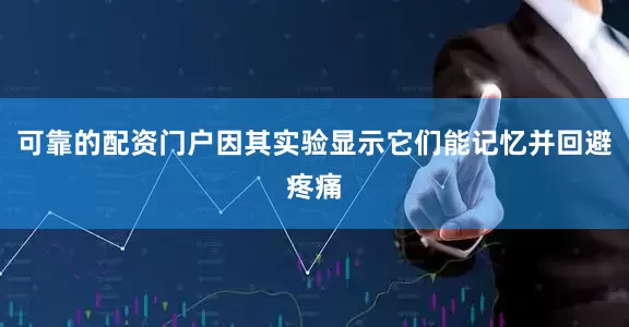 可靠的配资门户因其实验显示它们能记忆并回避疼痛