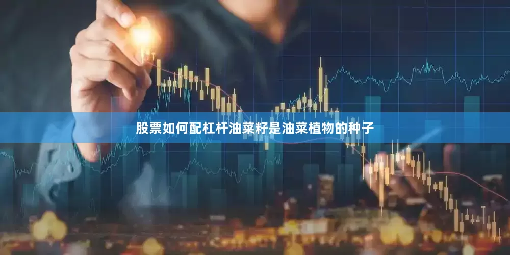 股票如何配杠杆油菜籽是油菜植物的种子